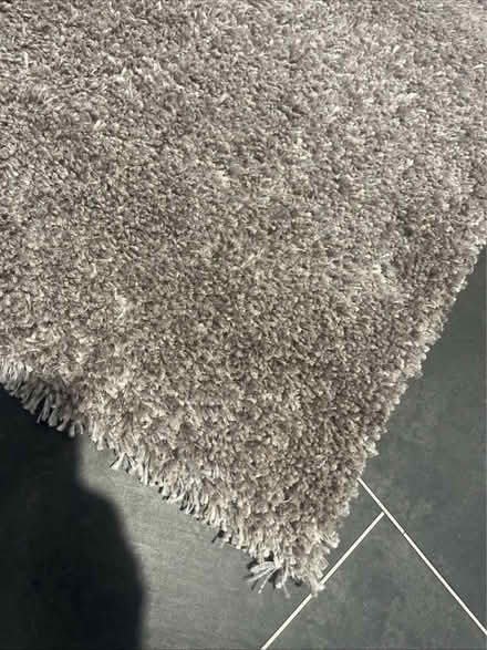Photo of free deep pile rug (Gorgie EH11) #2