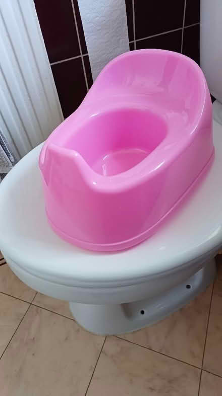 Photo of free Toddlers Potty (Theale RG7) #2