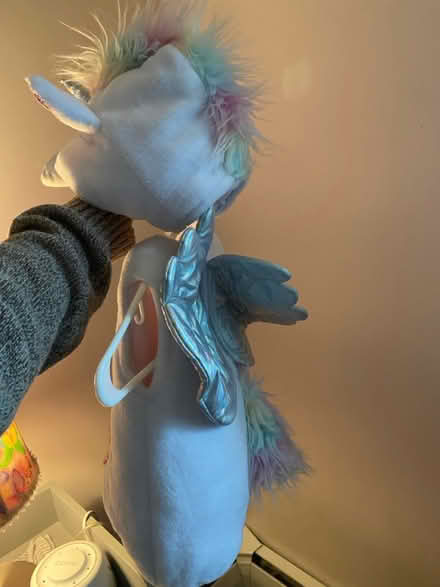 Photo of free Unicorn costume 6-12mo (Norristown) #2