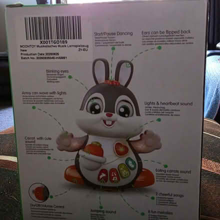 Photo of free New unused dancing bunny (Clive Vale TN35) #2