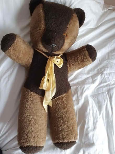 Photo of free Childrens Teddy bear (Arnold NG5) #1