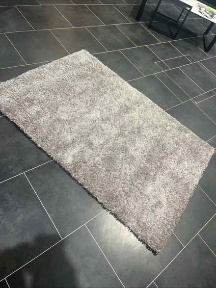 Photo of free deep pile rug (Gorgie EH11) #3