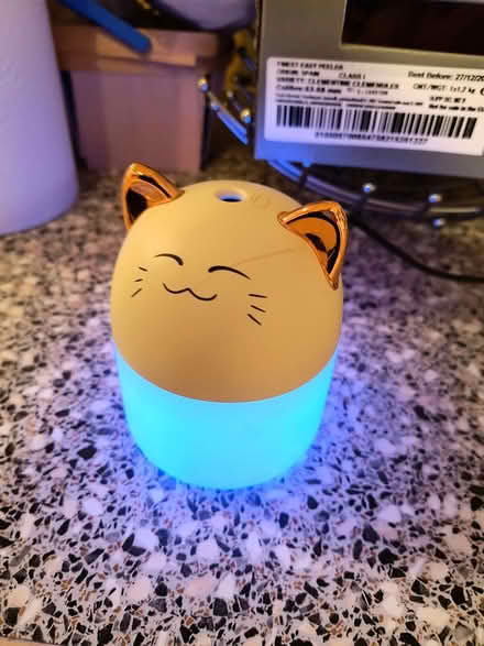 Photo of free Glow lamp (Royston SG8) #3