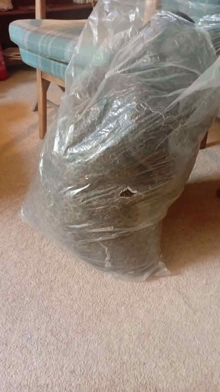 Photo of free Bag of horse hair (Kendal LA9) #1