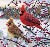 Photo of Gift Bags wanted, any size (Almonte (Dwyer Hill Area)) #1