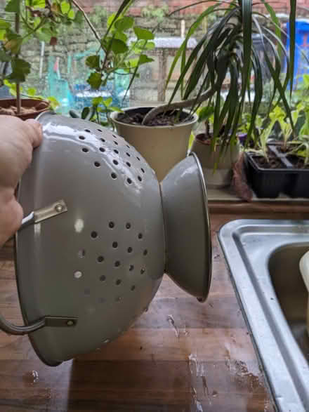 Photo of free Colander (Meersbrook S8) #2