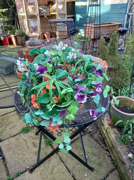 Photo of free Hanging basket (Watton at Stone SG14) #1