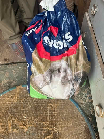 Photo of free Big bag of rabbit royal & shavings (Kingswood BS15) #1