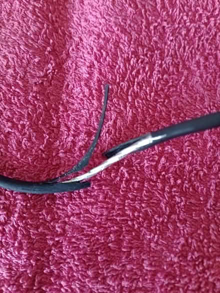 Photo of free Macro ring flash - photography (Park Drive TN34) #3