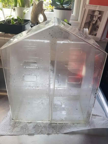 Photo of free Indoor plant propagator (Sheffield 2) #1