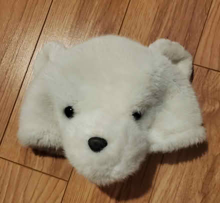 Photo of free Polar Bear Hat (Near Experimental Farm) #1