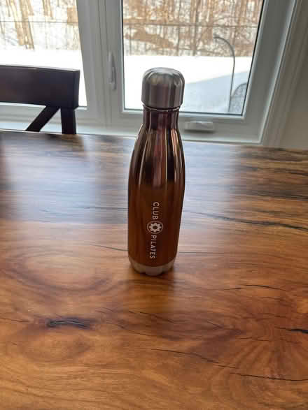 Photo of free Water bottle - Stainless steel (Kanata Lakes) #1