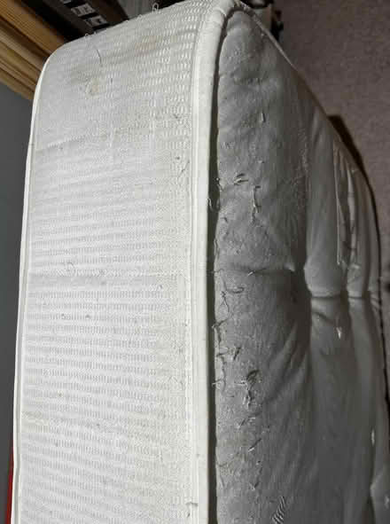 Photo of free Single mattress (Moss Side, M14) #4