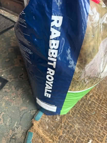 Photo of free Big bag of rabbit royal & shavings (Kingswood BS15) #2