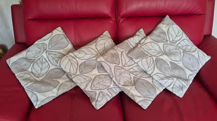Photo of free Four Dunelm Cushions (CT4) #1