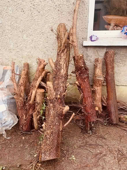 Photo of free Firewood to take away (Stacks villas) #2