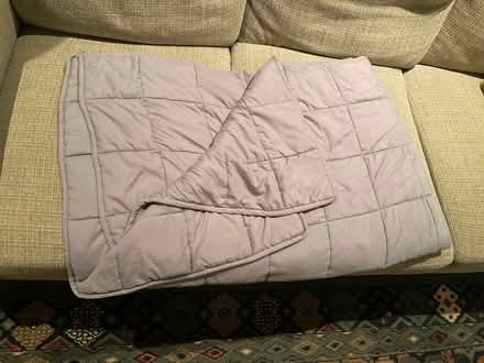 Photo of free Weighted blanket (Alameda) #1