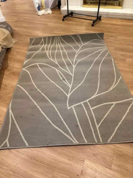 Photo of free rug (Arlington Center) #1