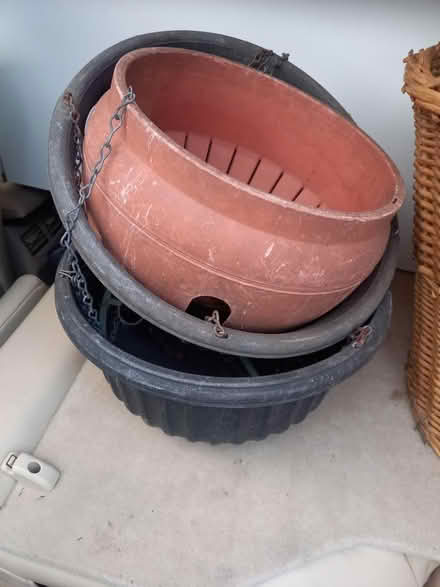 Photo of free Hanging baskets (Mottingham) #1