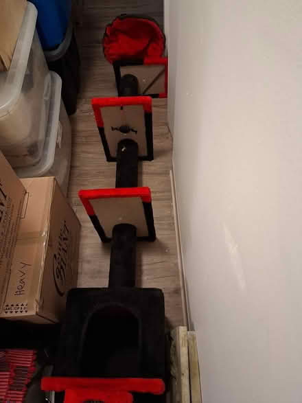 Photo of free Cat Tree (Interbay/Queen Anne) #2