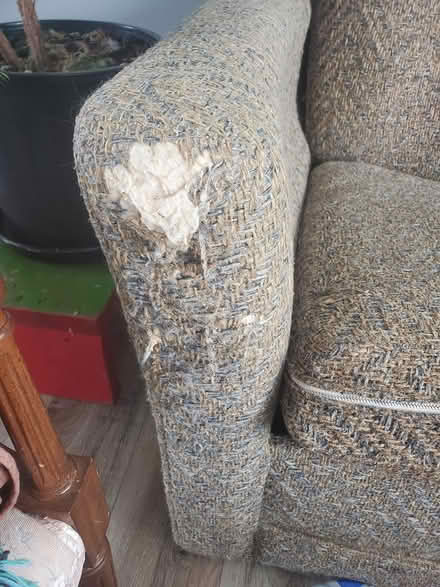 Photo of free Pull out couch (North end lindsay) #3
