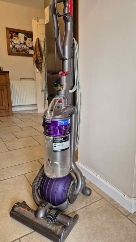 Photo of free Dyson DC25 animal (Chiseldon, SN4) #1
