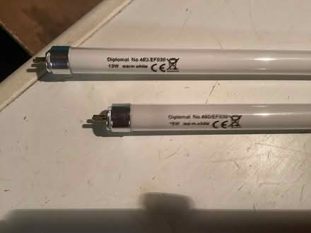 Photo of free Light bulbs (Craiglockhart EH14) #1