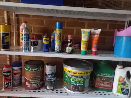 Photo of free Garden related paint, etc (Mottingham) #1