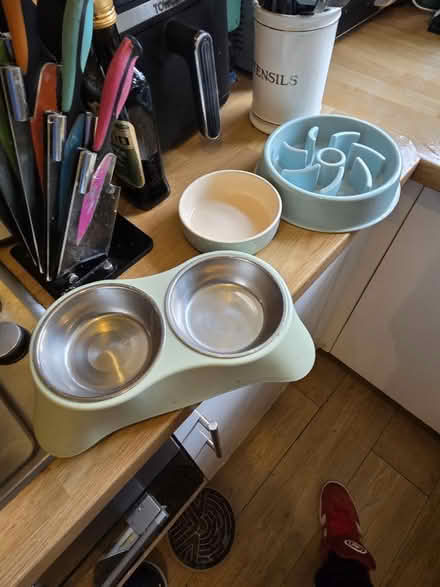 Photo of free Dog bowls and slow feeder (Crosspool S10) #1