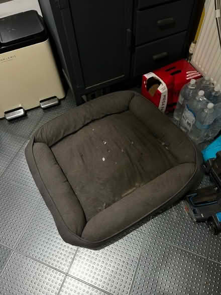 Photo of free Dog bed (Warrington) #1