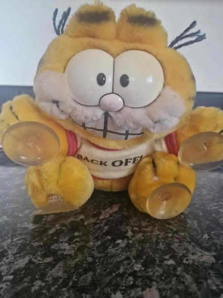 Photo of Garfield (Moreton) #1