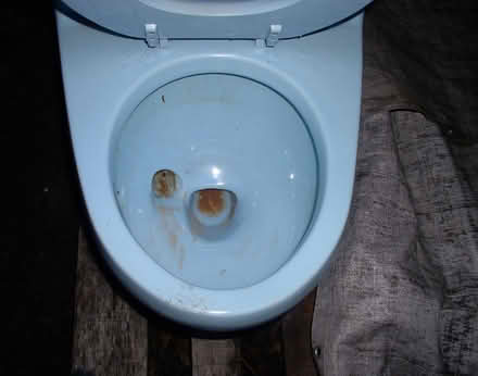 Photo of free Eljer Lowboy toilet (Rohrersville) #3