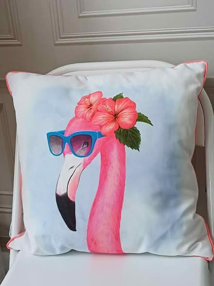Photo of free Cushion (Salisbury SP2) #1