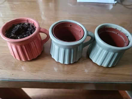 Photo of free Mini plant pots (Friern Barnet, N11) #1