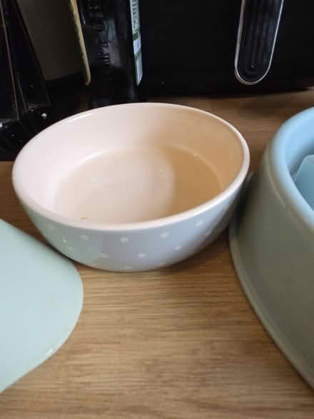 Photo of free Dog bowls and slow feeder (Crosspool S10) #2