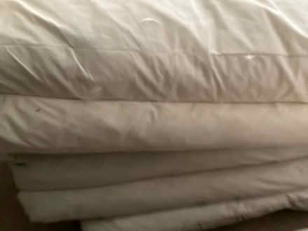 Photo of free 3 large feather cushions (Redhill BS40) #2
