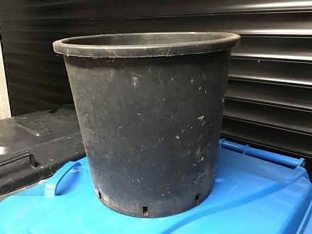 Photo of free sturdy black pots (Cookham SL6) #1