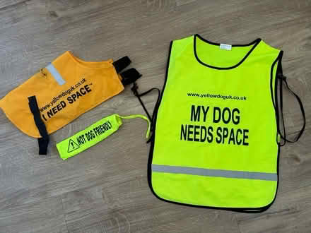 Photo of free Reactive Dog Kit (Edinburgh EH17) #1