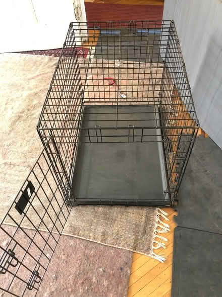 Photo of free dog crates (2) (cobble hill) #2