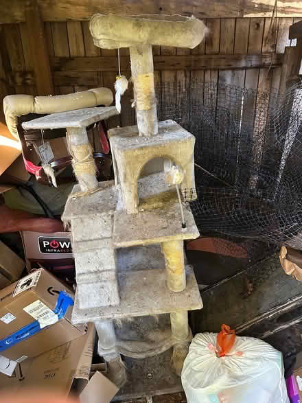 Photo of free Cat tower (River rd) #1