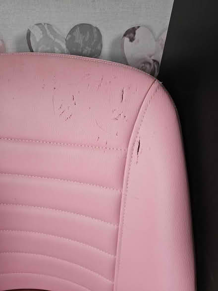 Photo of free Pink desk chair (Shiregreen S5 0AN) #2