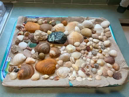 Photo of free Selection of shells, gems & stones (Henley-on-Thames RG9) #2