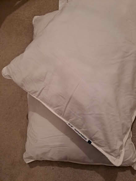 Photo of free 2 x Pillows (Leytonstone E11) #1