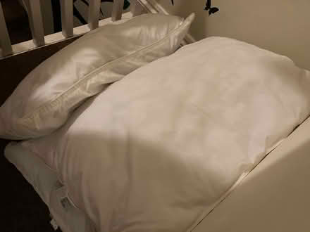 Photo of free Pillows (Southsea PO4) #2