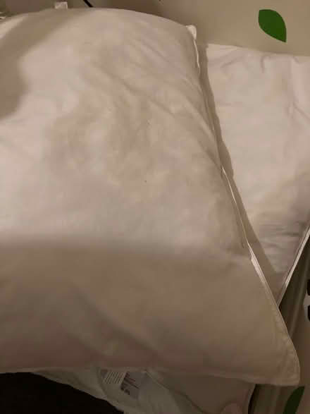 Photo of free Pillows (Southsea PO4) #3