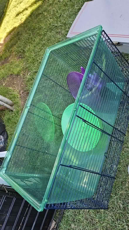 Photo of free Hamster garbil cagr with wheels (Corstophine EH4) #1