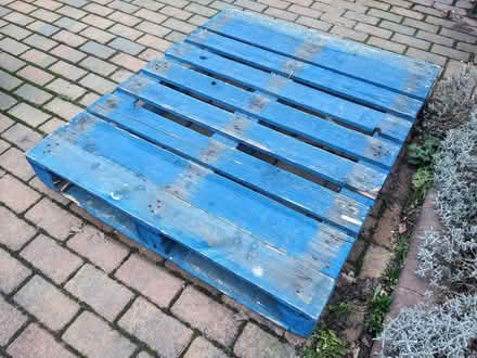 Photo of free Wooden Pallet - painted blue (Pipers Ash CH2) #1
