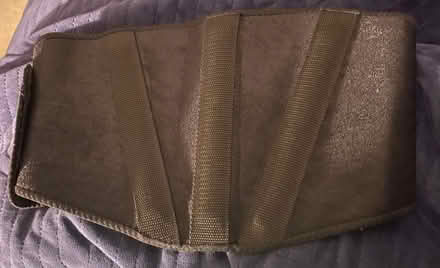 Photo of free Back brace (Fawdon NE3) #1