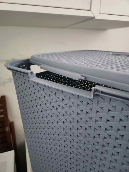 Photo of free Laundry basket (Turnpike lane N15) #1