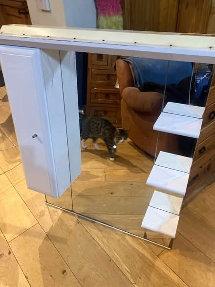 Photo of free Bathroom mirror (Prittlewell SS2) #1